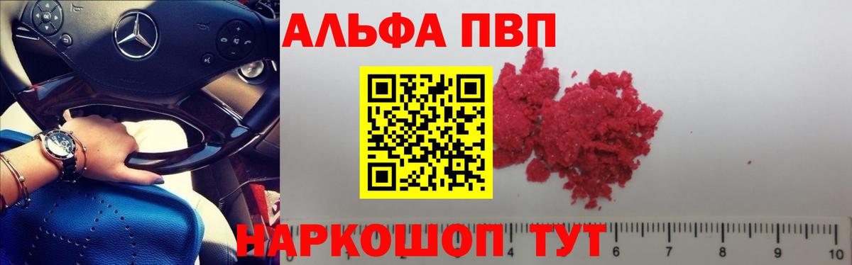 как найти закладки  A PVP кристаллы  A PVP СК  Alpha-PVP мука  Alpha PVP  Вход с VPN  Гусев 