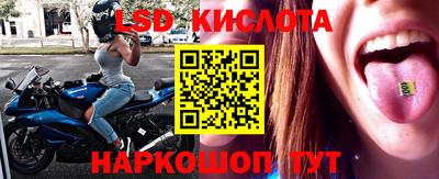 spice Кулебаки