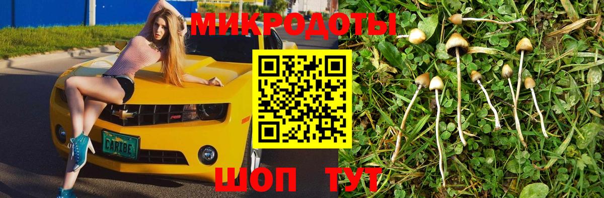 Гусев  Галлюциногенные грибы прущие грибы  Вход с VPN 